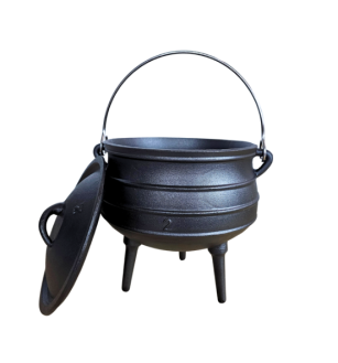 סיר פויקה מספר 2 Cactus