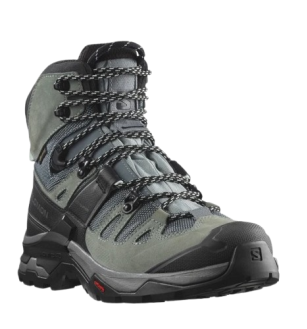 נעלי סלומון לנשים Quest 4 Gtx Salomon